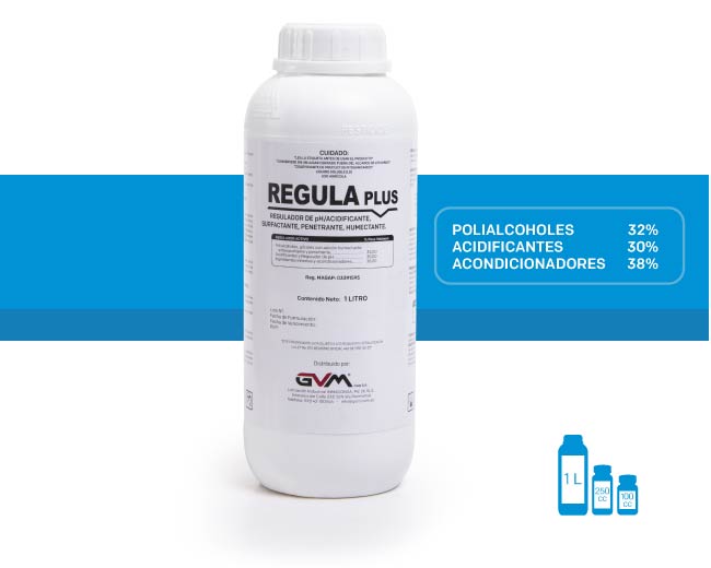 REGULADOR REGULA PLUS