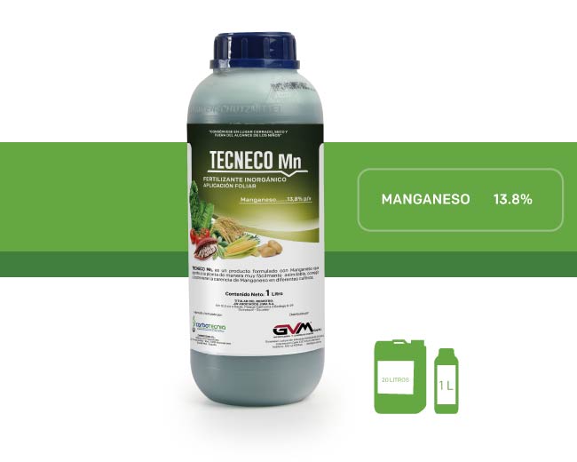TECNECO MN